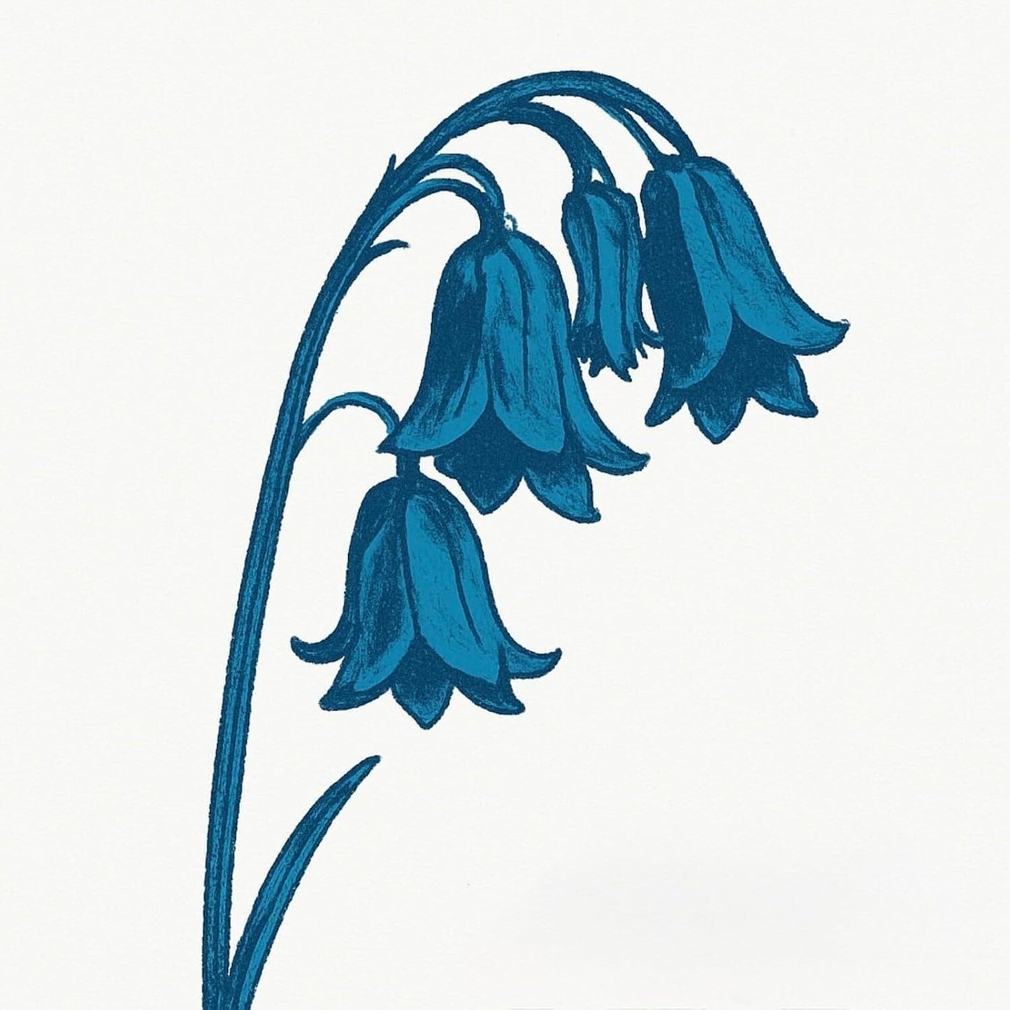 The Bluebells. This Is The Bluebells. Release Date 15th May Pre Order Now ! - Ad-Astra Records