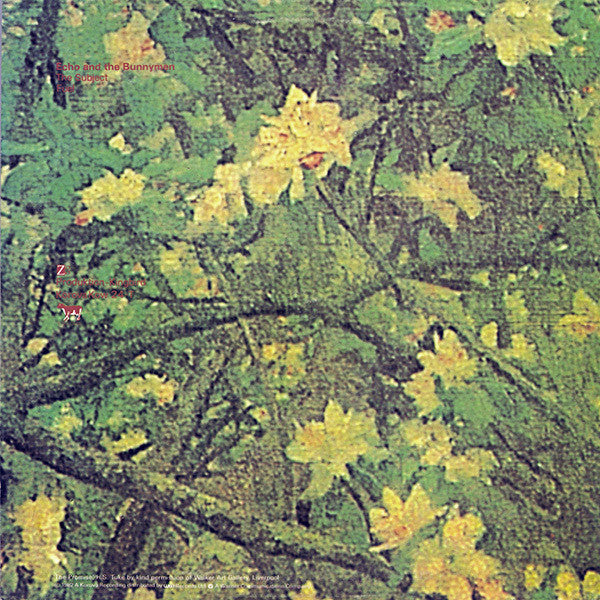 Echo & The Bunnymen. The Back Of Love ( 12", 45 RPM, Single ) VG+VG - Ad-Astra Records