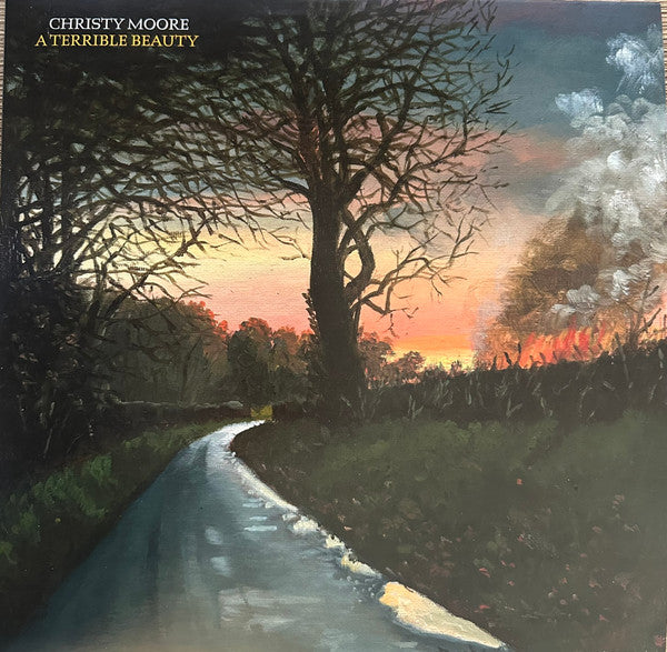 Christy Moore. A Terrible Beauty VG+VG+