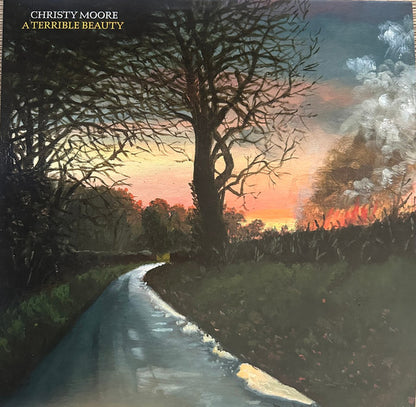 Christy Moore. A Terrible Beauty VG+VG+
