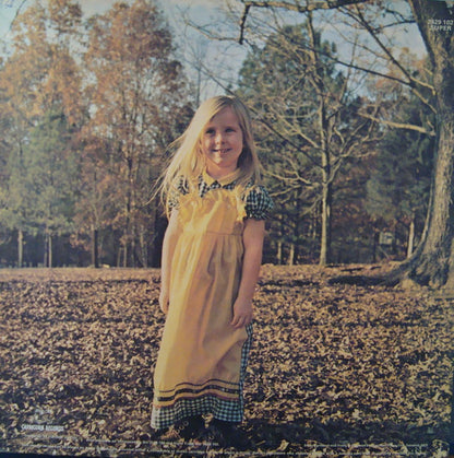 The Allman Brothers Band. Brothers And Sisters ( Gatefold ) VG+VG