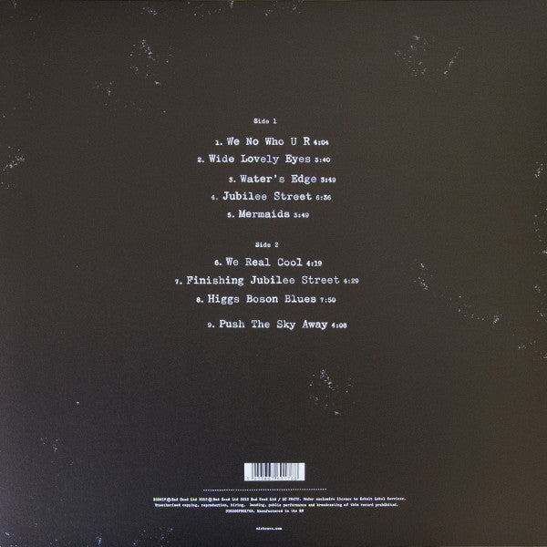 Nick Cave & The Bad Seeds. Push The Sky Away