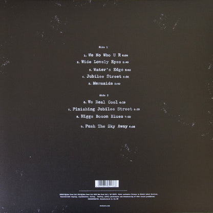 Nick Cave & The Bad Seeds. Push The Sky Away