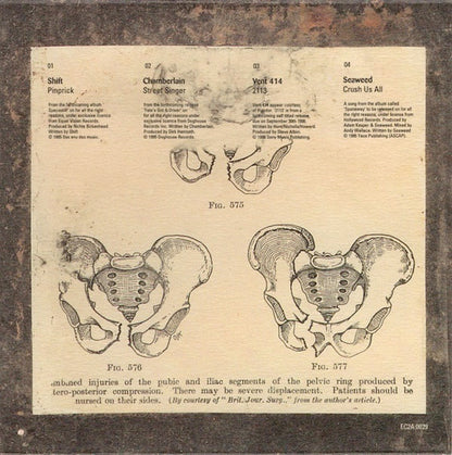 Various.  Shift. Chamberlain. Vent 414. Seaweed. CD VG+VG