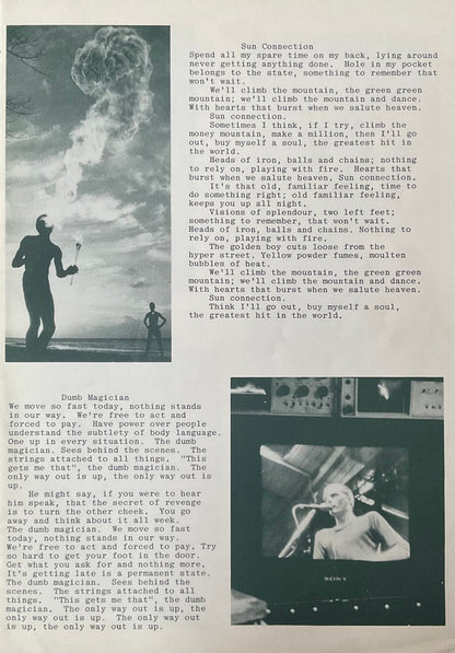 Blue Orchids. The Greatest Hit ( Money Mountain ) + Insert VG+VG