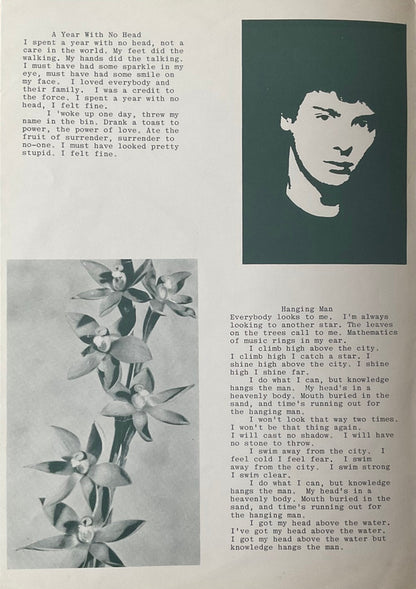 Blue Orchids. The Greatest Hit ( Money Mountain ) + Insert VG+VG