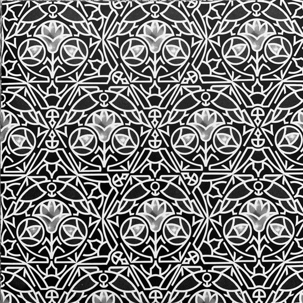 Hawkwind. Greasy Truckers Party