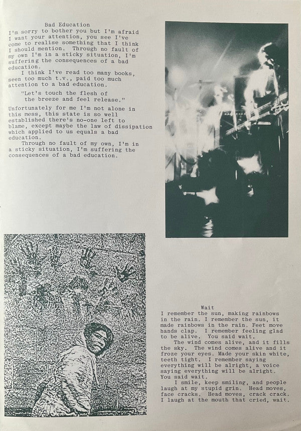 Blue Orchids. The Greatest Hit ( Money Mountain ) + Insert VG+VG