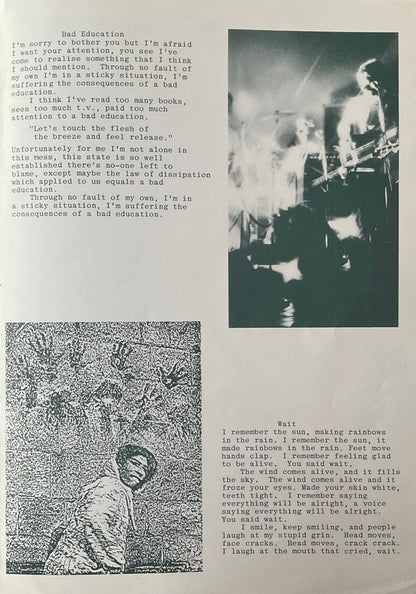 Blue Orchids. The Greatest Hit ( Money Mountain ) + Insert VG+VG