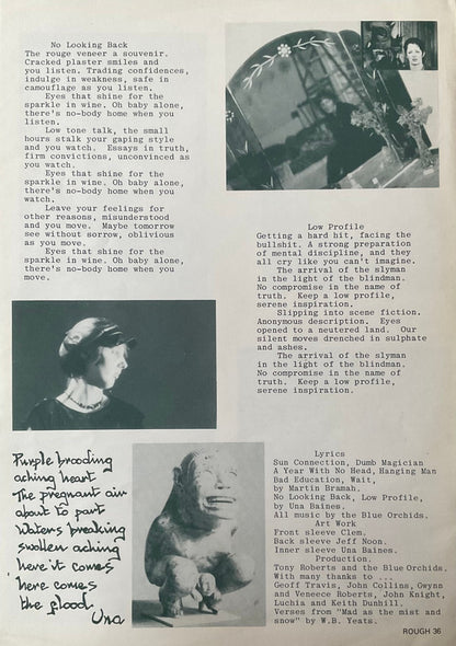 Blue Orchids. The Greatest Hit ( Money Mountain ) + Insert VG+VG