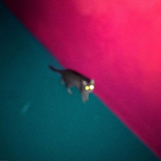 !!!. Wallop (Ltd 1st Edition Coloured Vinyl with Download Code)