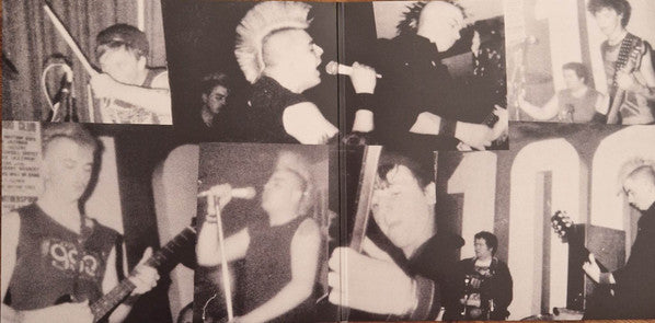 Varukers. Noisy Bastards ! ( Translucent Red Vinyl )