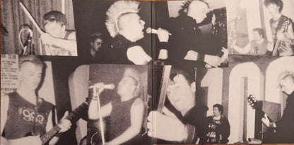 Varukers. Noisy Bastards ! ( Translucent Red Vinyl )