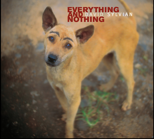 David Sylvian. Everything And Nothing. (Triple Album Trifold Sleeve)