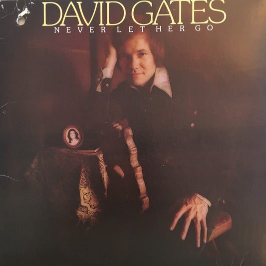 David Gates  - Never Let Her Go - VG+VG - Ad-Astra Records